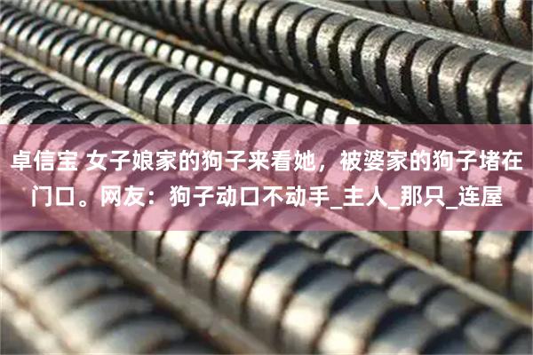 卓信宝 女子娘家的狗子来看她，被婆家的狗子堵在门口。网友：狗子动口不动手_主人_那只_连屋